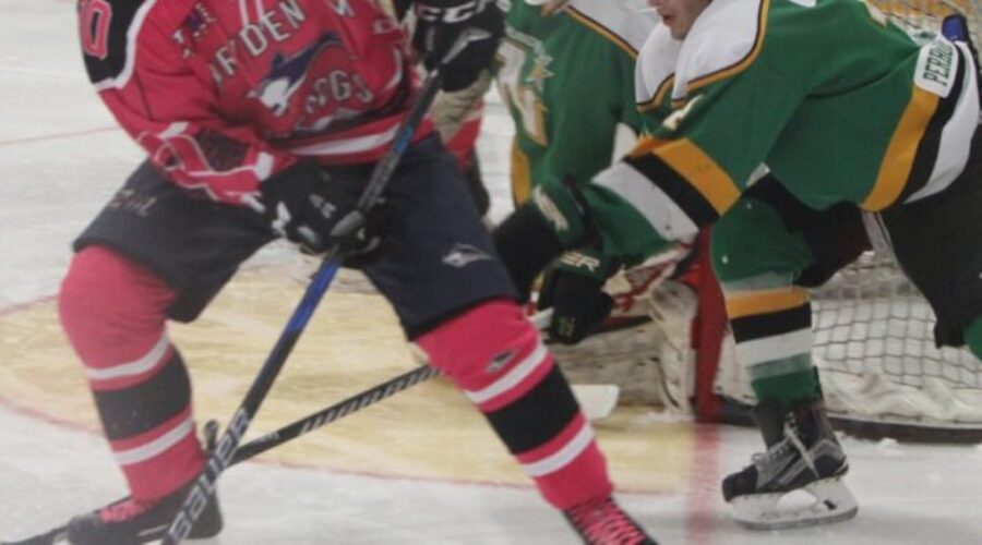 Ice Dogs Offence Explodes In Cancer Game