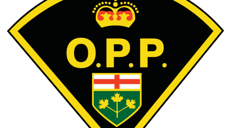 OPP Conducting Community Satisfaction Survey