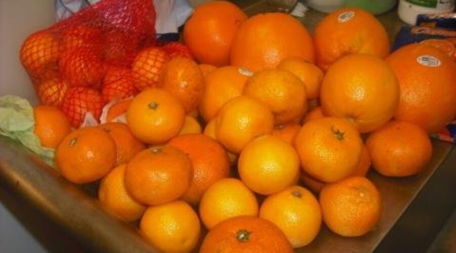 Oranges20-20seized20at20US20border Keep The Oranges At Home