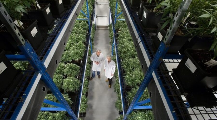 Organigram CEO “Disappointed” By Federal Packaging Rules