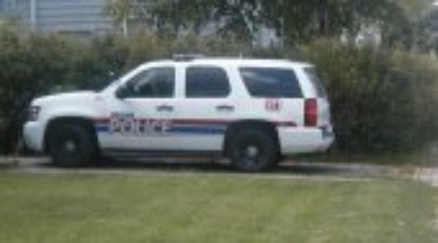Young Female Arrested In Dryden