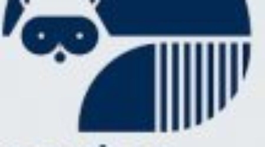 Porter Airlines Adding More Flights