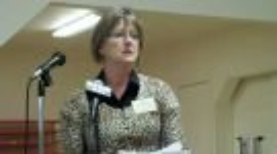 Promoting New Economic Development Agency