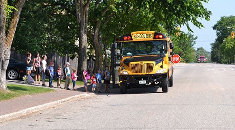 Online Survey Launched To Grade School Bus Service