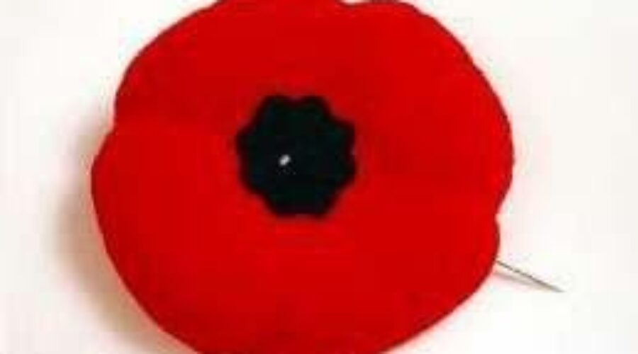 Dryden Royal Canadian Legion Launching Poppy Drive Tomorrow