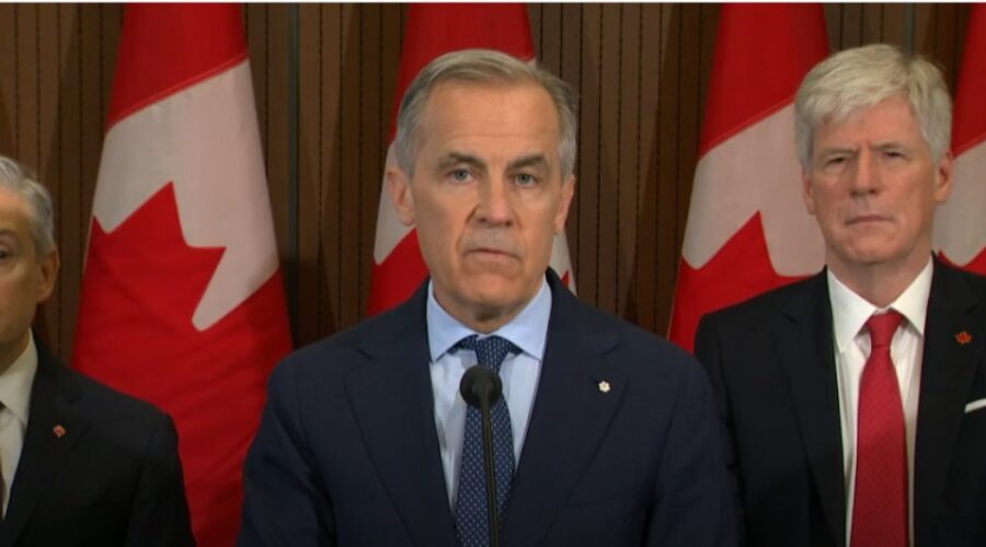 Prime Minister Mark Carney Feds to temporarily remove fuel excise tax