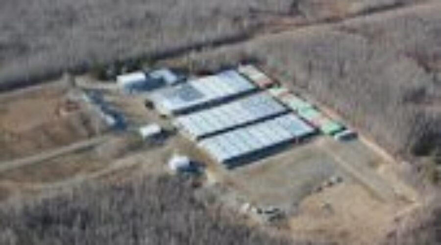 Questions Surround Gold Project In Northwest