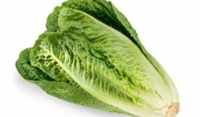 E. Coli Outbreak Impacting Romaine Lettuce