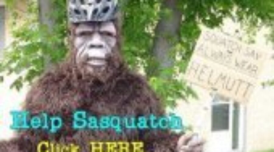 SafeCommunitiesSasquatch Safe Communities Dryden Seeking By-law