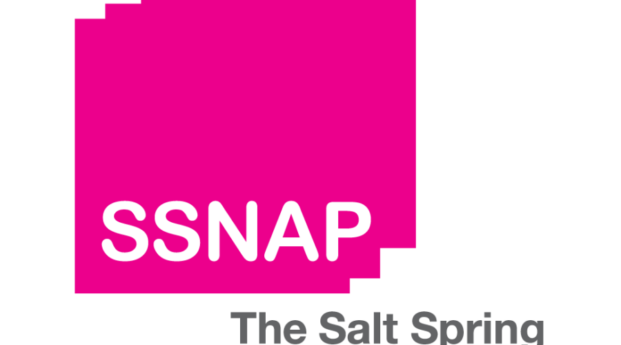 Salt-Spring-National-Art-Logo_FINAL5 Red Lake Artist Finalist For National Award