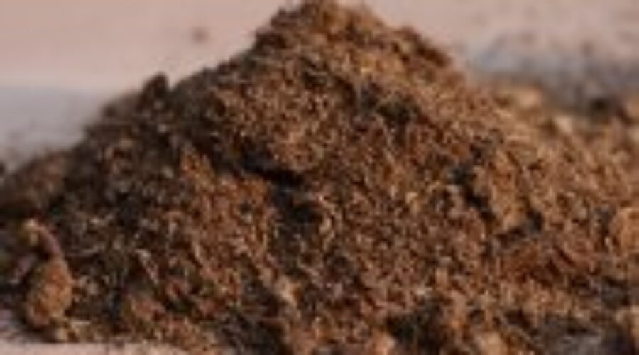 Schultz_Sphagnum_Peat_Moss Accessing High Quality Peat From Minnesota