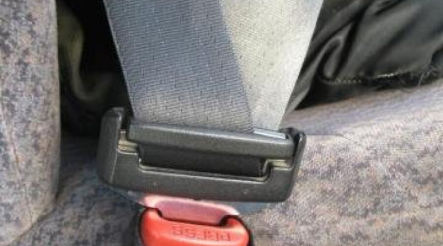 Seatbelts Coming To Buses
