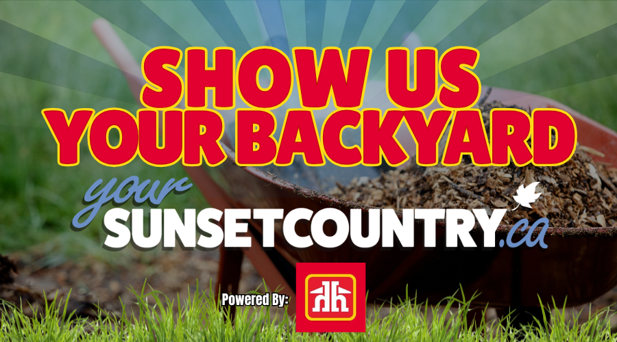 Show Us Your Backyard