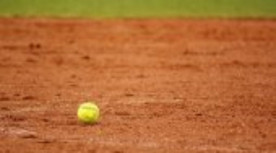 Softball Association Looking For Input
