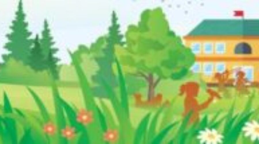 Vote Now For Red Lake Food Box Program