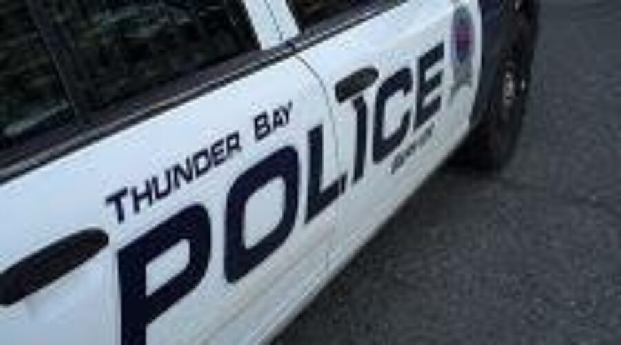 Thunder Bay Police Investigating 11th Murder of 2014