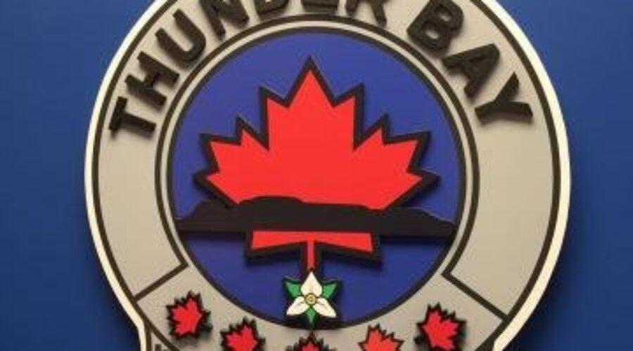 “Unruly” Plane Passenger Arrested In Thunder Bay