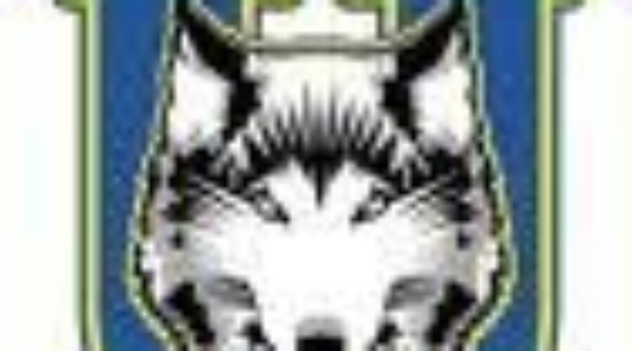 L-U Falls In National Final