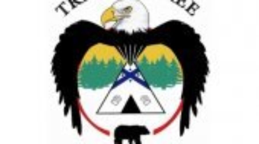 Man Arrested Following Assault In Grassy Narrows