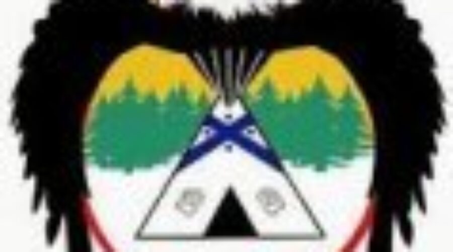 Gun Amnesty For Treaty 3 Members