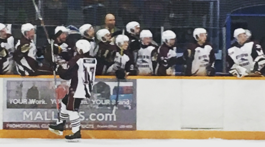 Strong Opening Weekend For Ice Dogs