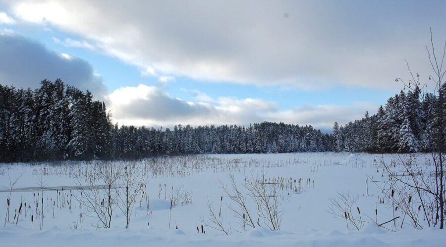 Winter Is Officially Here!