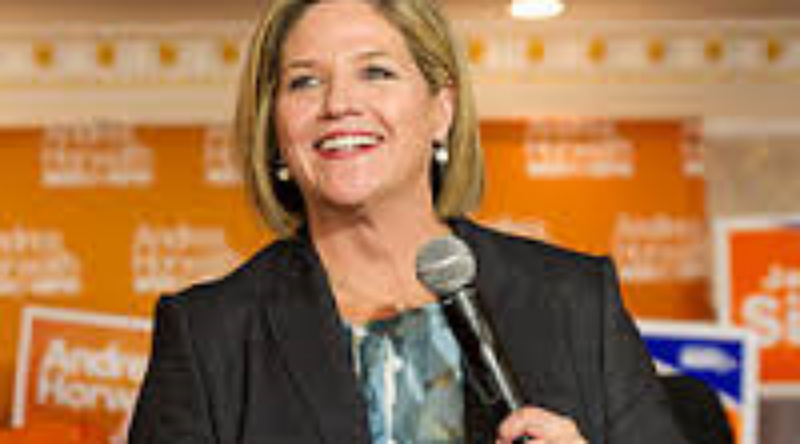 ahortwh_4 Ontario NDP Out With Election Platform