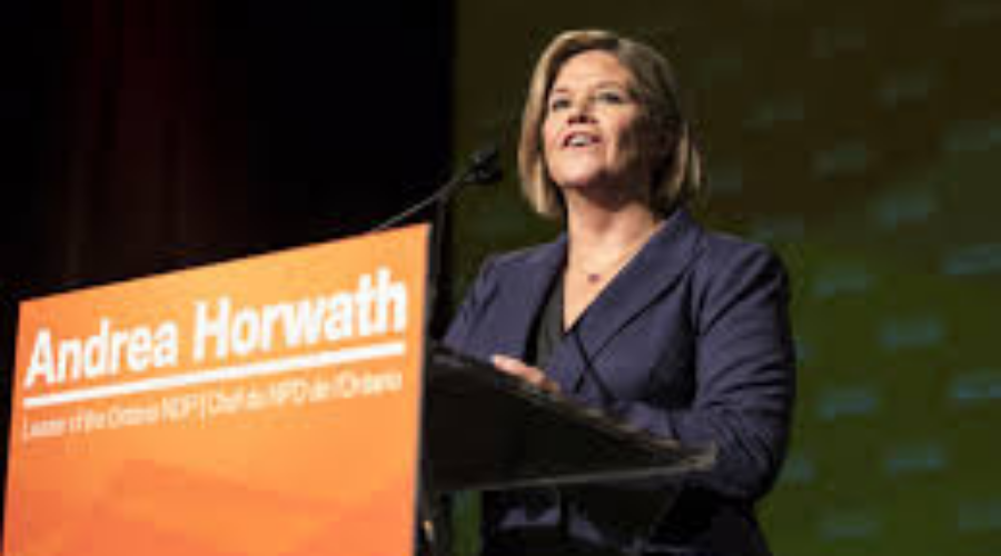 Andrea Horwath Survives NDP Leadership Vote