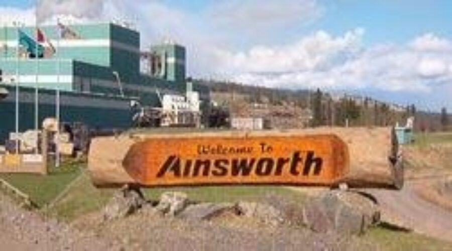 Forest Industry Lobby’s For Less Red Tape