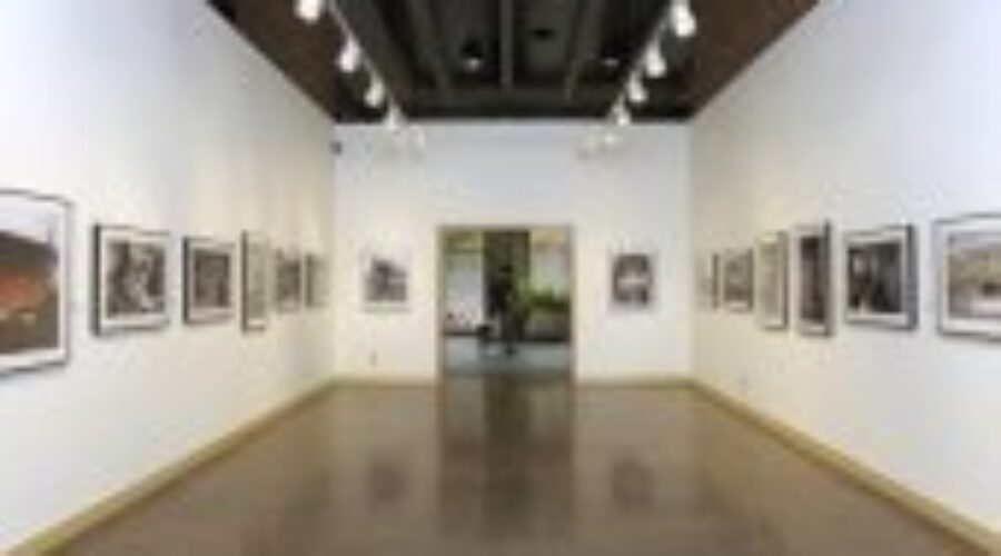 2012-2013 Aboriginal Art Acquisition Program