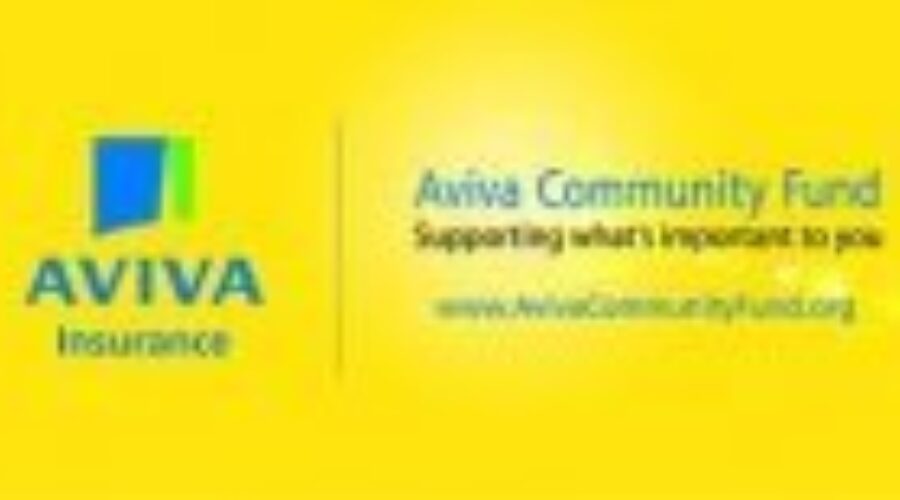 Last Day To Vote In The Aviva Challenge