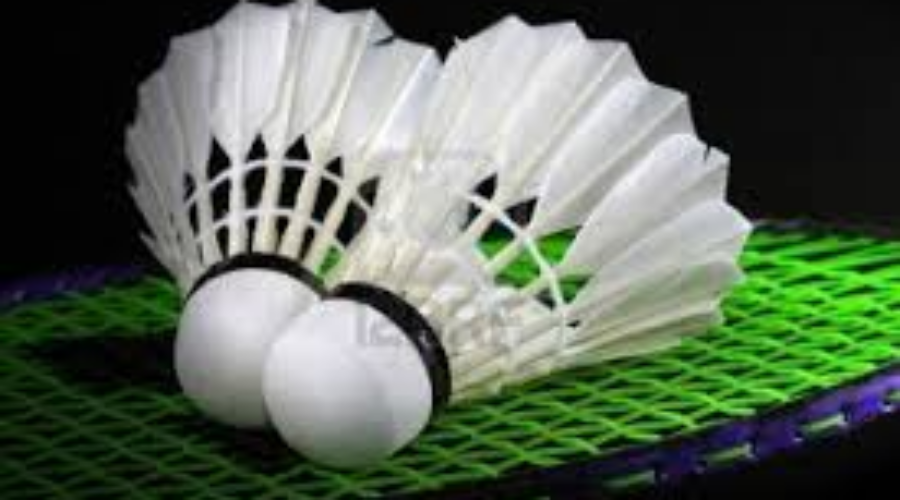 NorWOSSA High School Badminton Qualifier At DHS