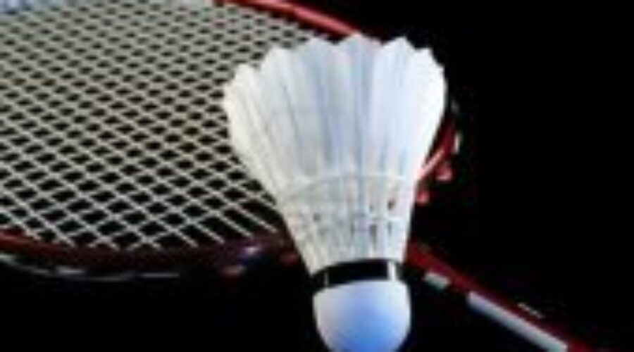 DHS Hosting Northern Badminton Championship