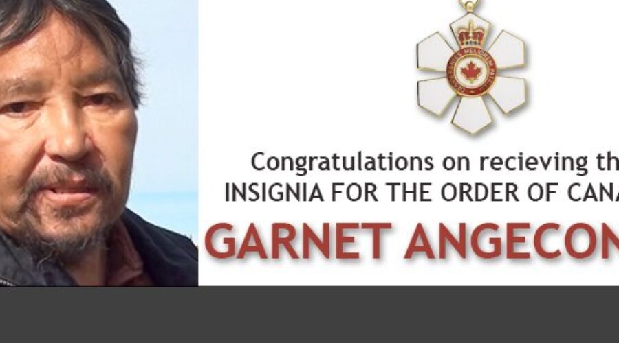 banner-garnet_angeconeb15 Garnet Agneconeb Member Of Order Of Canada