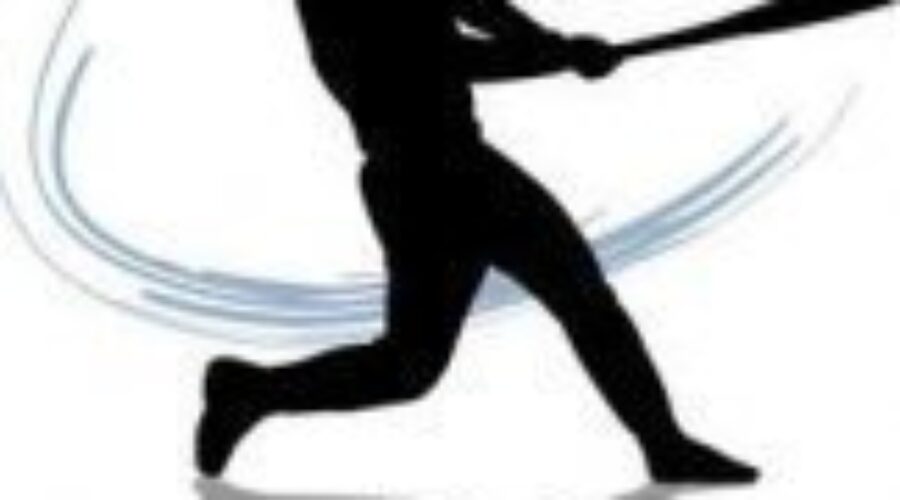 Dryden Minor Softball Holding Clinic
