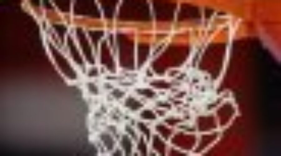 Bulldogs Medal At Basketball Championships