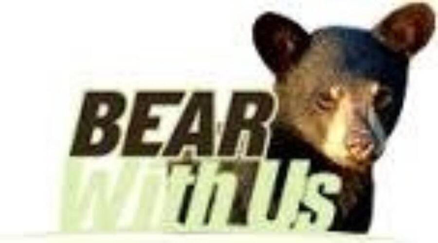 bearwithus Opposition Against The Return Of The Spring Hunt
