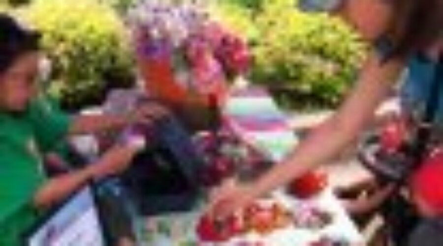 A Successful Bizkids Market Day In Dryden