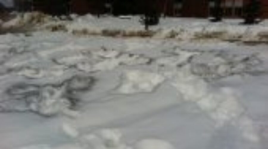 Students Create Black Snow Angels At DHS