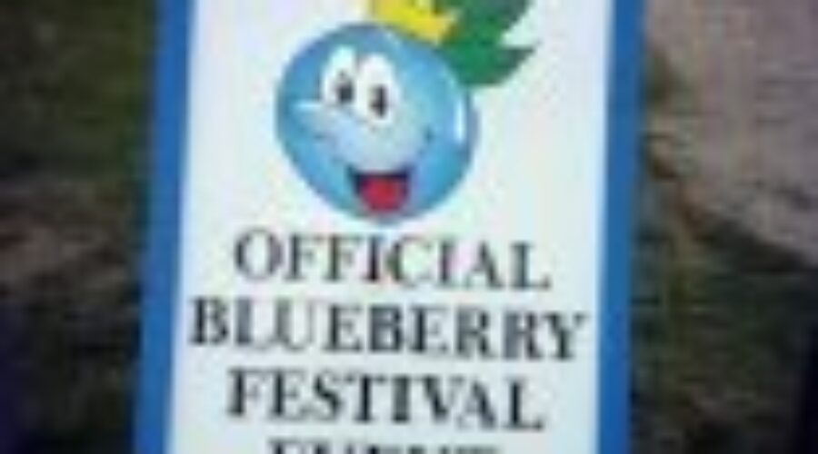 Sioux Lookout’s Blueberry Festival Gets Underway