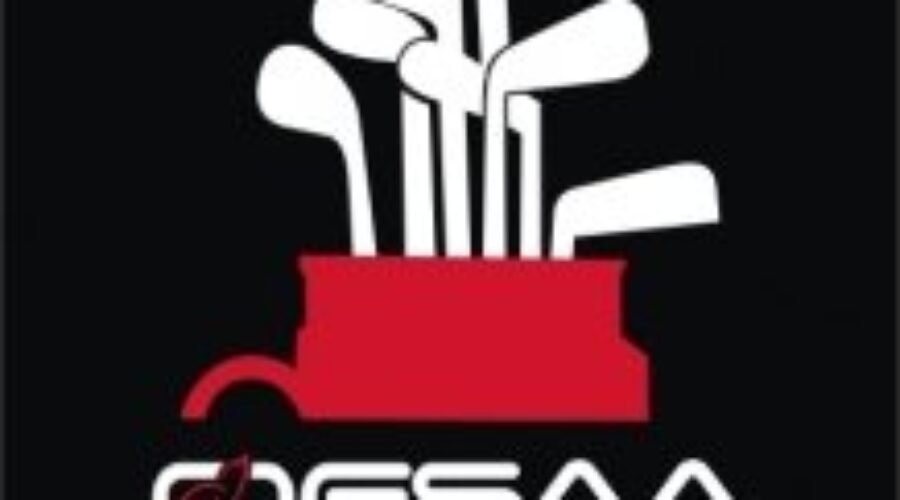 Dryden Golfer Impresses At OFSAA