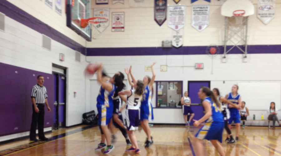 Four Wins For Dryden Eagles Court Teams