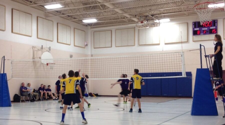 Clean Sweep For Eagles
