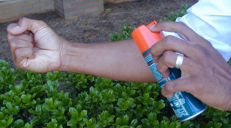 Protect Yourself From Insect Bites: Health Officials