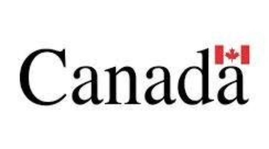 Feds Vow To Fight Softwood Lumber Decision