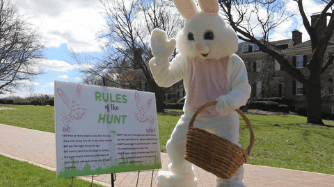 Markets, Meals & Easter Madness!