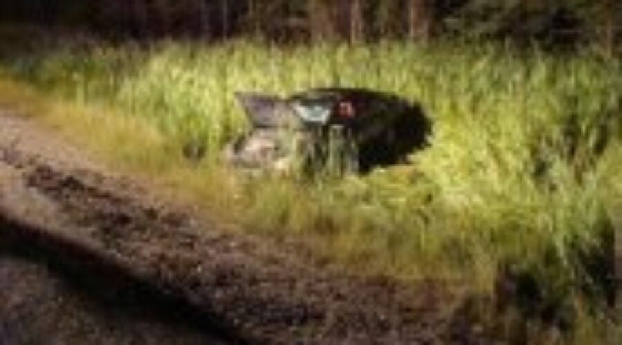Dryden Fire Respond To 3 Calls Over Weekend