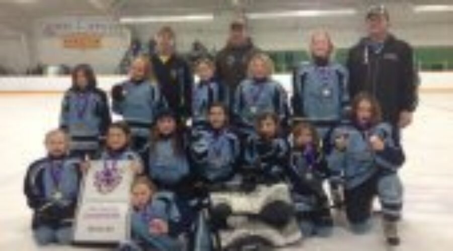 Regional Hockey Team Wins Gold