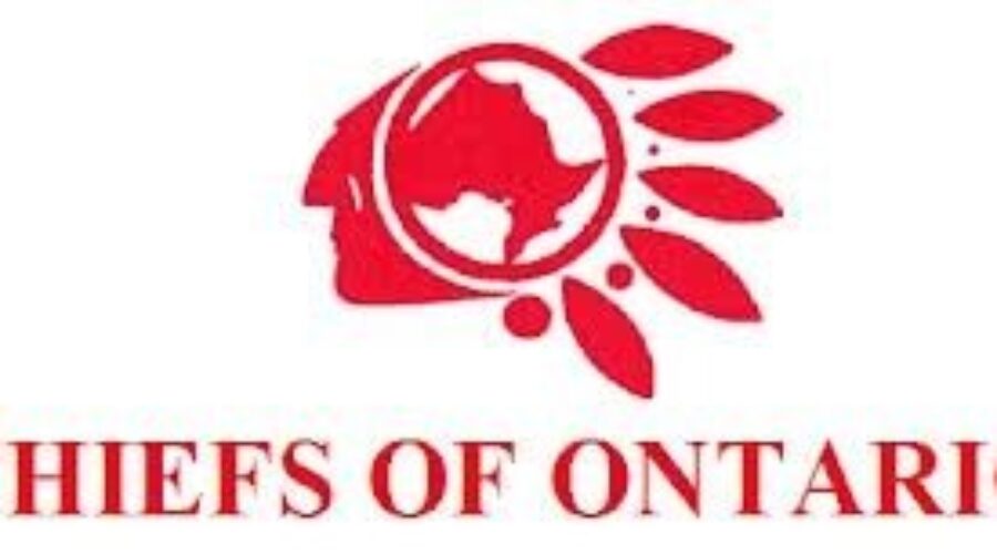Chiefs of Ontario Renew Call For A National Inquiry On Missing and Murdered Aboriginal Women