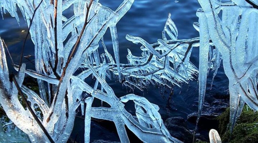 Chilly November In Dryden Area